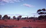 400188: Kalgoorlie WA Maunsell's accommodation site