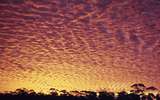400191: Koolyanobbing WA Sunset from Maunsell's site office