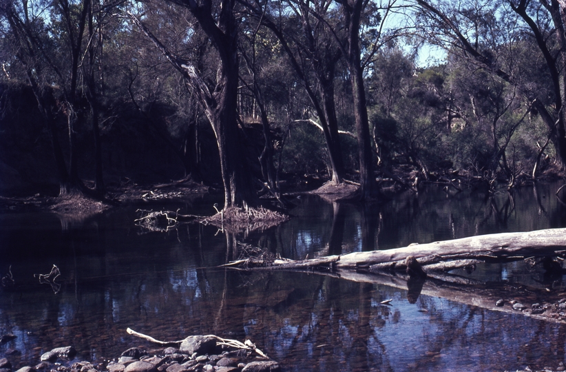 400205: Walyunga National Park WA Avon River