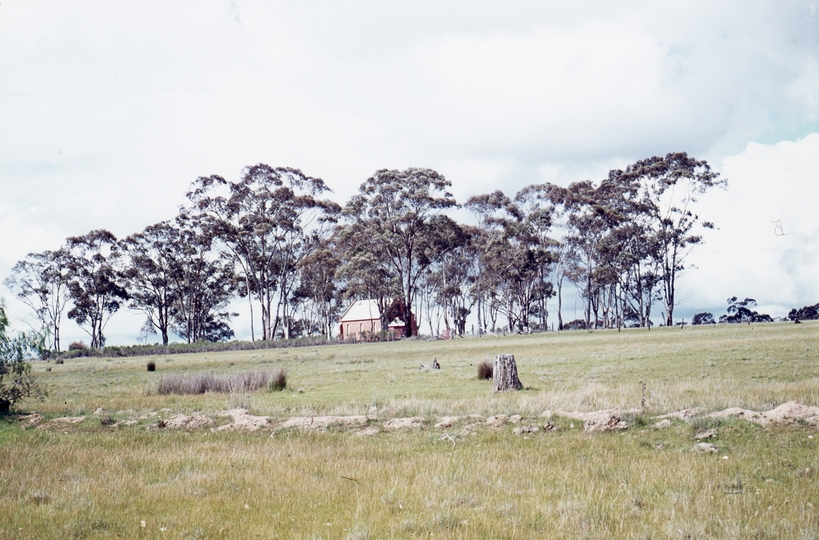 400235: Huntly Vic Scene with trees