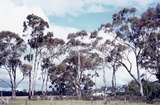 400237: Huntly Vic Scene with trees