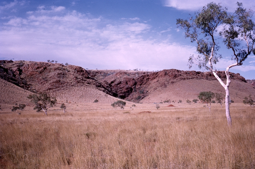 400247: Shay Gap WA Scene near end of future railway service spur