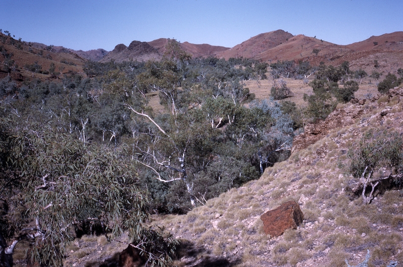 400256: Coppins Gap WA Countryside on South side