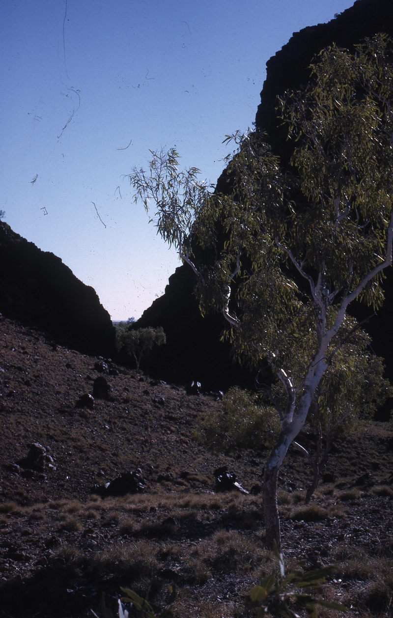 400257: Coppins Gap WA viewed from South side