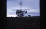 400278: Mile 82 Goldsworthy Railway WA Eagle sitting on power pole