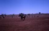 400283: Coongan Station WA Gymkana Horseriding event