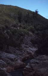 400377: Pieman River Tasmania looking downstream from first EBR Bridge