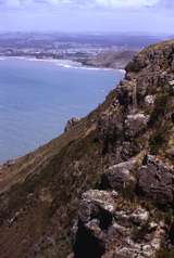 400387: Wynyard Tasmania viewed from Table Cape