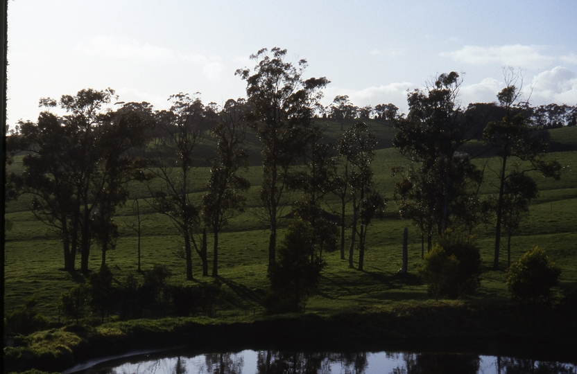 400500: Ripplebrook Victoria dam at 'Willowvale'