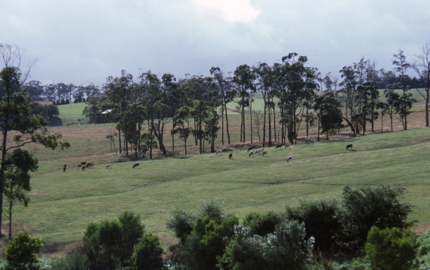 400511: Ripplebrook Victoria View from house at 'Willowvale'