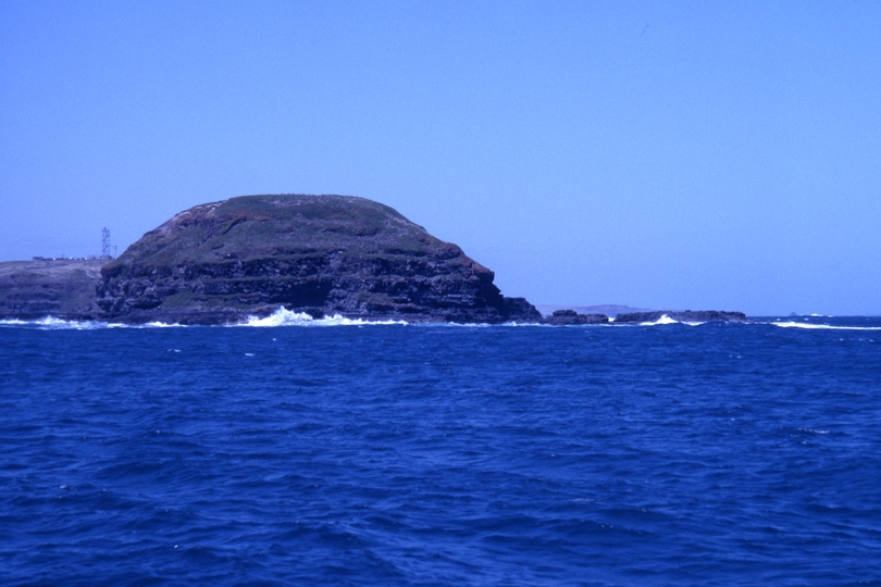 400534: Phillip Island Victoria The Nobbies