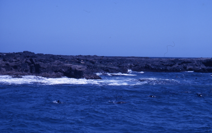 400543: Phillip Island Victoria Seal Rocks