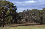 400550: Corowa South NSW view looking South from River Street