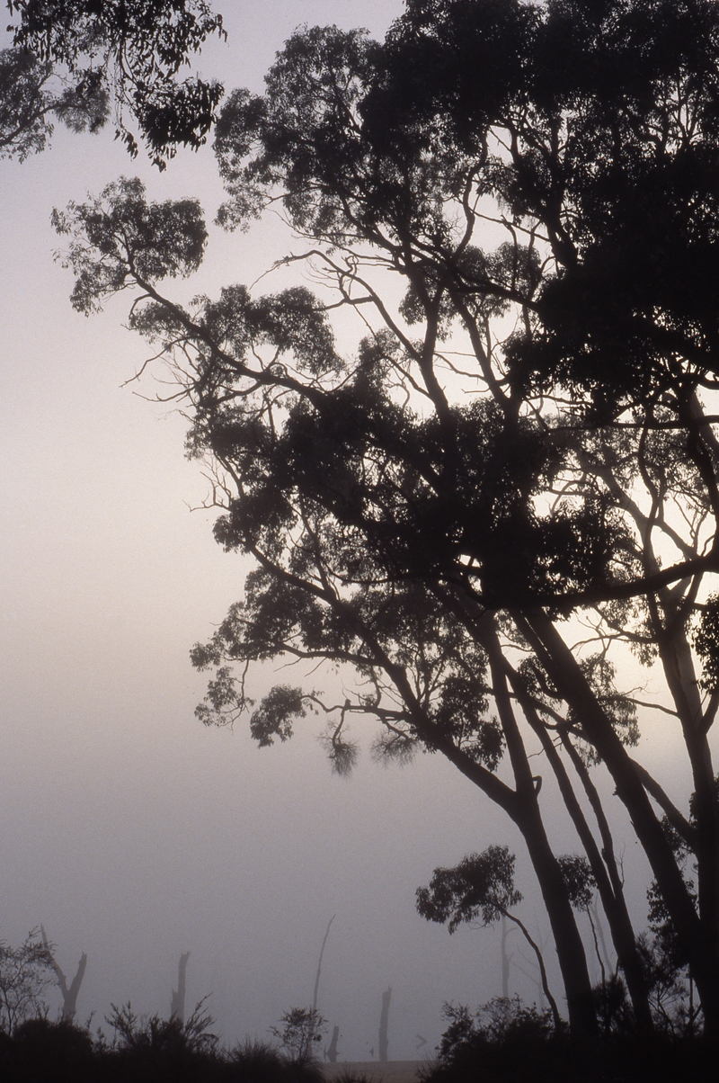 400601: Lake Wartook Victoria