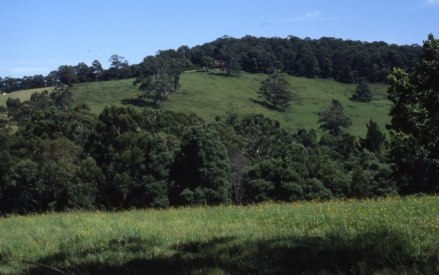 400621: Landslide Victoria Puffing Billy Railway Adjacent Scenery