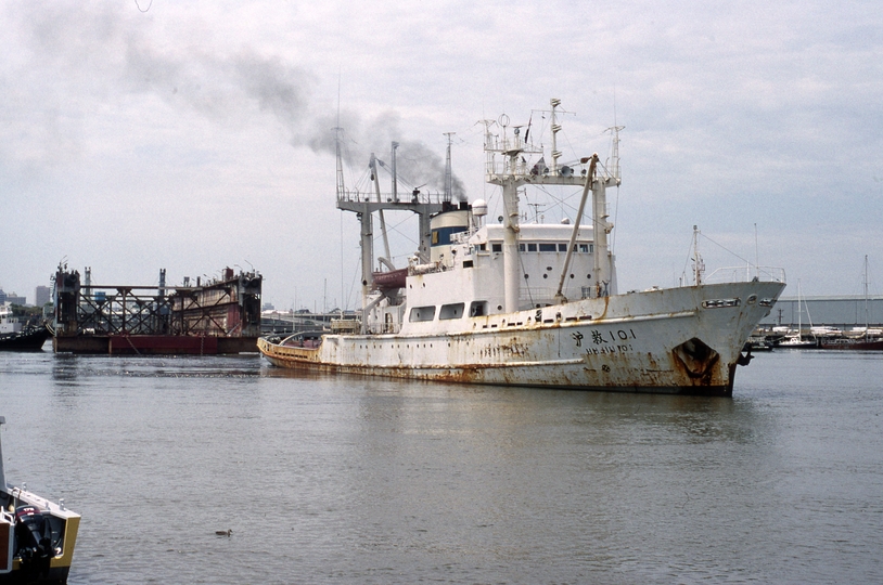 400633: Yarra downstrem from Charles Grimes Bridge Chinese Tug preparing to take AJ Wagglen Dock to China (later lost at sea), Photo Michael Venn