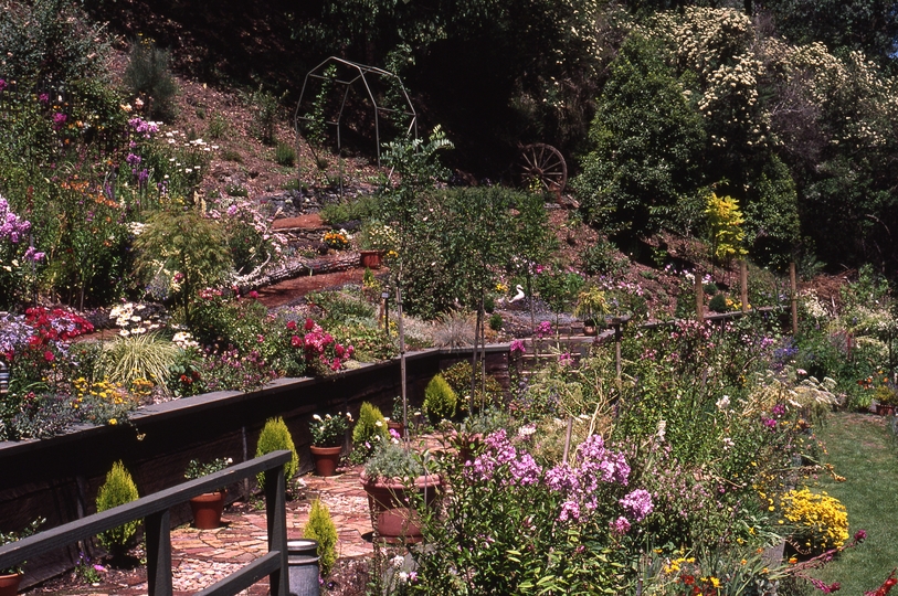 400641: Walhalla Victoria Deloraine Gardens