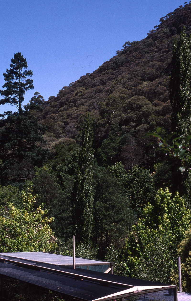 400644: Walhalla Victoria View looking South from Deloraine Gardens