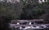 400697: near Pemberton Western Australia 'Cascades' on Warren River