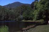 400712: Bogong Village Victoria Junction Dam Lake Guy Spion Kopje in background