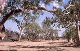 400772: Roe Creek NT Just South of Simpsons Gap looking South