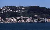 400841: Oriental Bay North Island NZ Mount Victoria in background