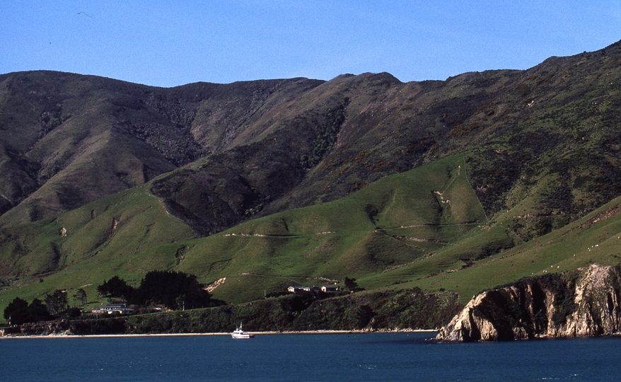 400848: Tory Channel South Island NZ Arapawa Island