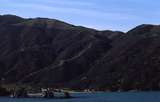 400851: Queen Charlotte Sound South Island NZ