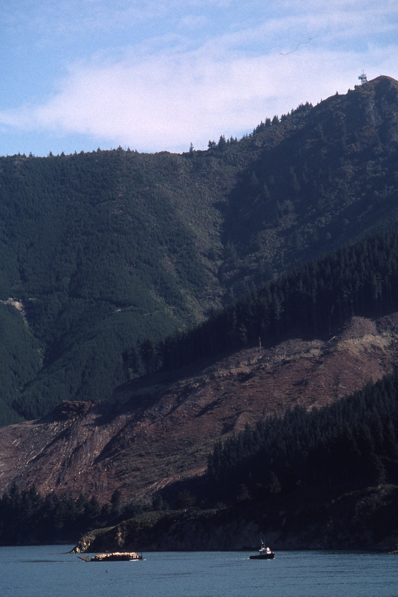 400853: Queen Charlotte Sound South Island NZ