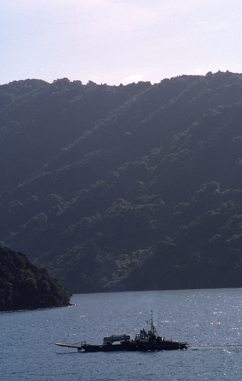 400859: near Picton Harbour South Island NZ  Barge and Tug