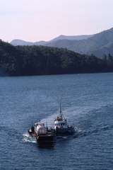 400861: Picton Harbour South Island NZ Barge and Tug