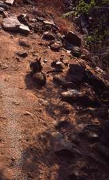 400920: Delaney Creek Gorge Qld km 221.5 Etheridge Railway Rock Wallabies