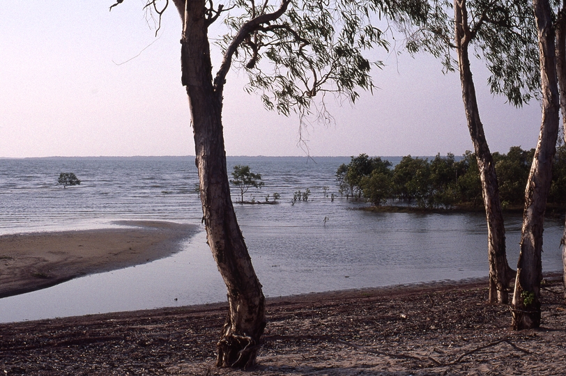 400936: Weipa Qld Gulf of Carpentaria coast near Albatoss Motel