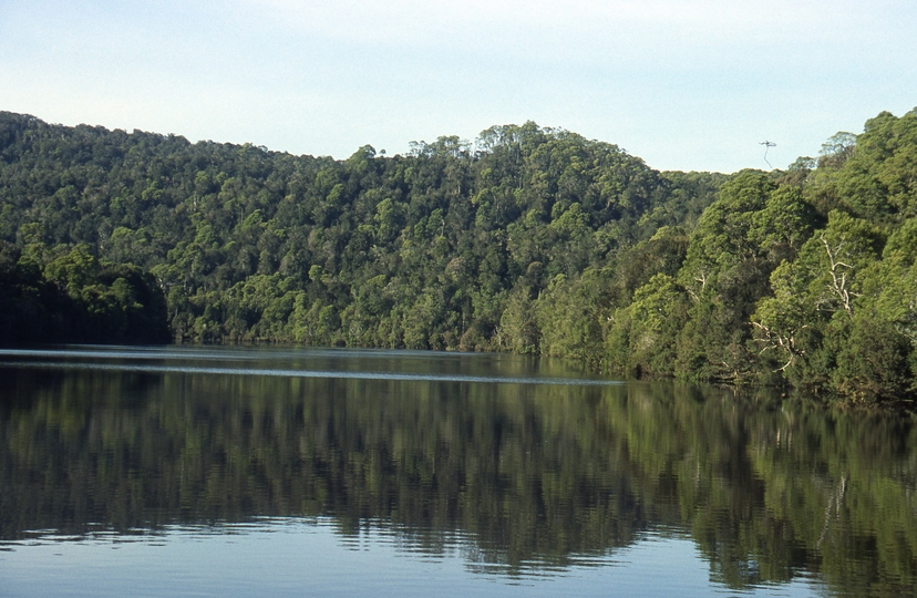 401024: Pieman River Tasmania looking downstream from Corinna punt