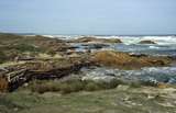 401029: Arthur River Tasmania 'End of World'looking South