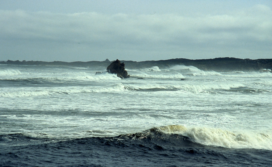 401030: Arthur River Tasmania 'End of World' looking North