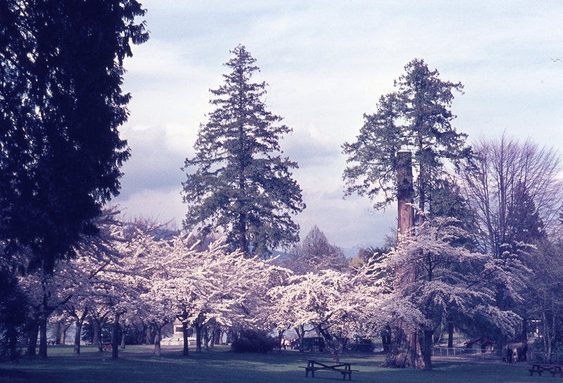 401067: Vancouver BC Canada Stanley Park