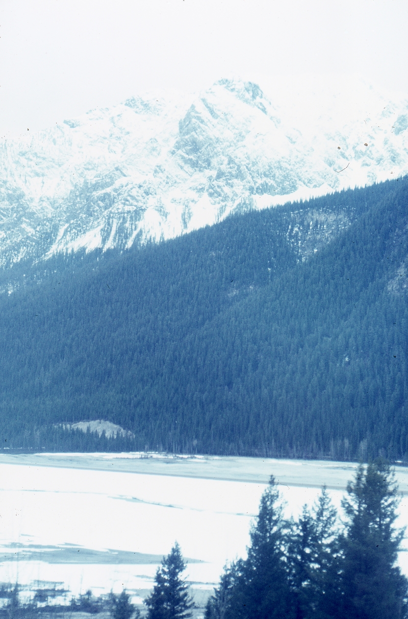 401084: near Field BC Canada viewed from CPR No 2 Photo Wendy Langford