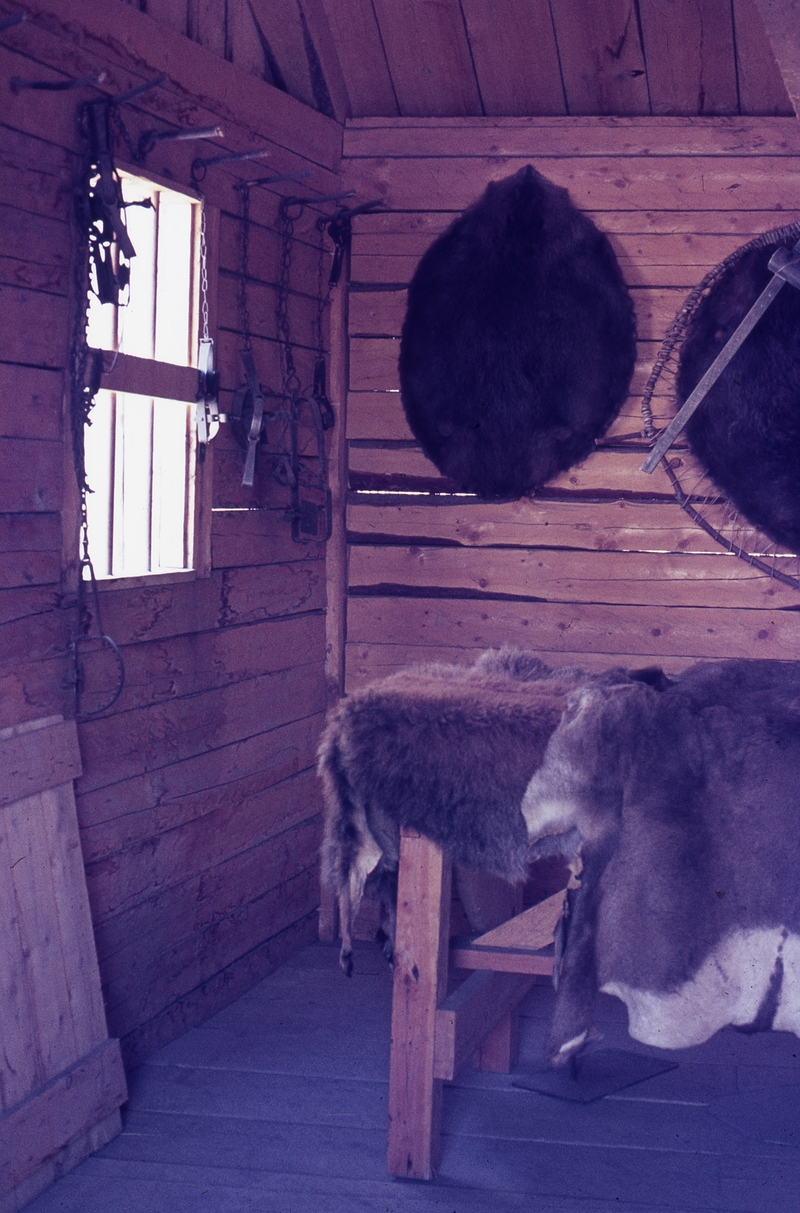 401093: Heritage Park Calgary AB Canada Interior trapper's cabin Photo Wendy Langford