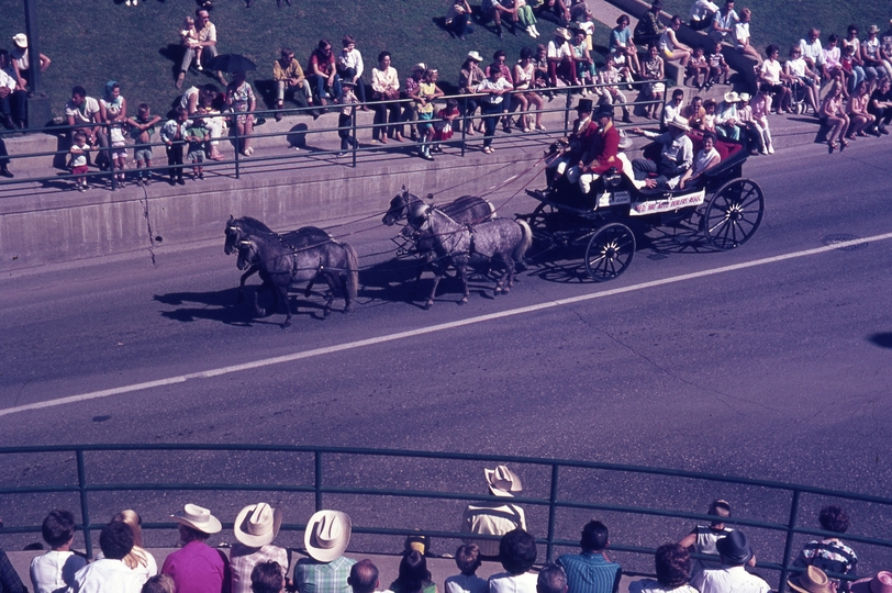 401115: Medicine Hat AB Canada Pony wagon in Stampede Parade