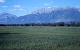 401150: Witusiak Range BC Canada viewed from Elk Valley