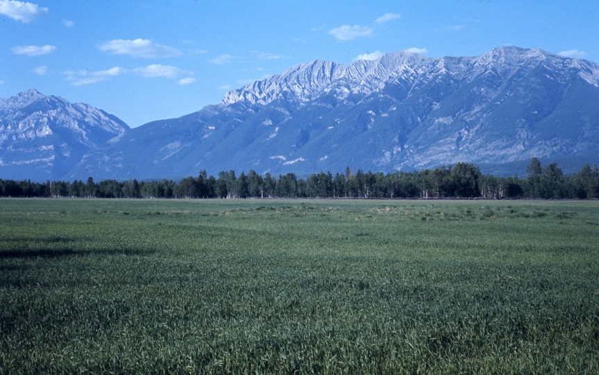 401150: Witusiak Range BC Canada viewed from Elk Valley