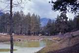 401211: near Fording Mountain BC Canada Sulphur Springs