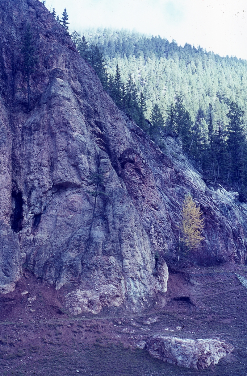 401233: Radium Hot Springs BC Canada Red rock in cut by road