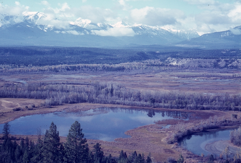 401235: Windermere Valley BC Canada South of Radium Hot Springs