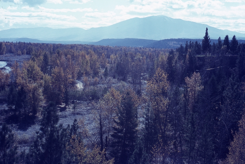 401238: near Fort Steele BC Canada