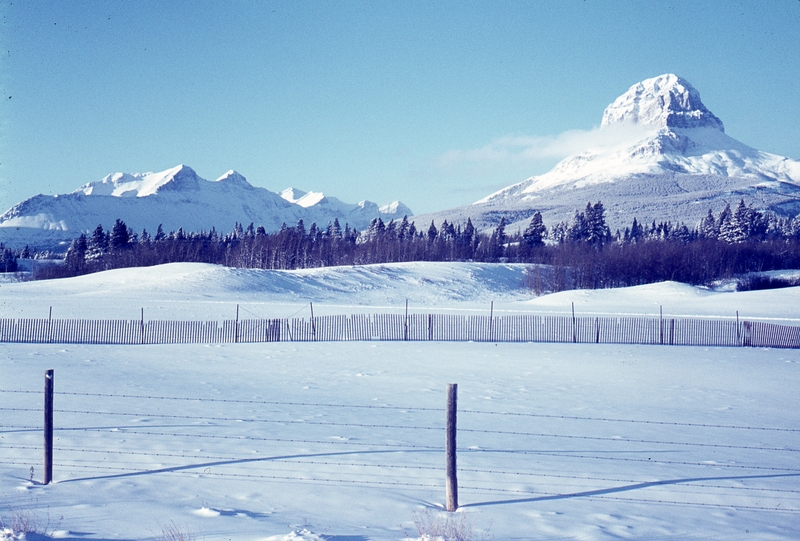 401245: between Coleman and Crowsnest BC Canada 'Volcanic Rock'