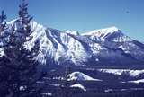 401247: near Elkford BC Canada