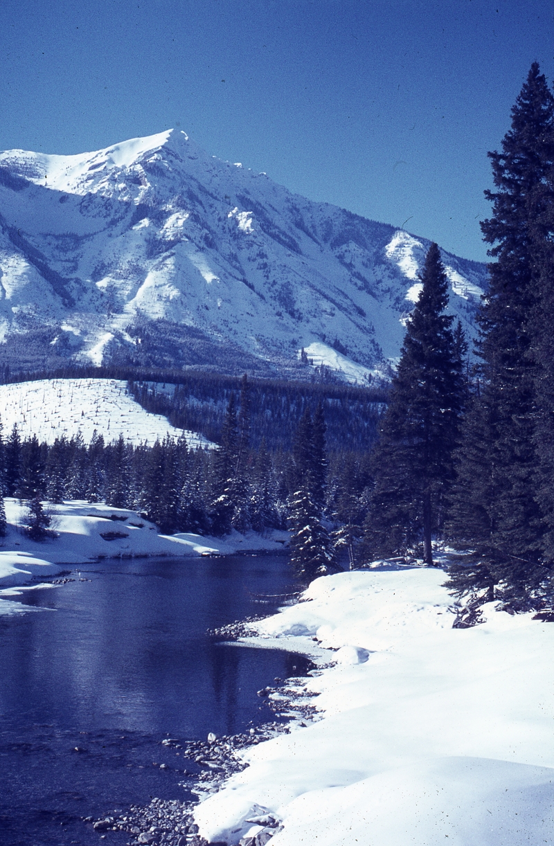 401260: near Elkford BC Canada Elk River