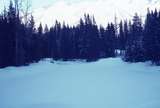 401265: Fording River at Bovin Pass Road BC Canada Elk on frozen river